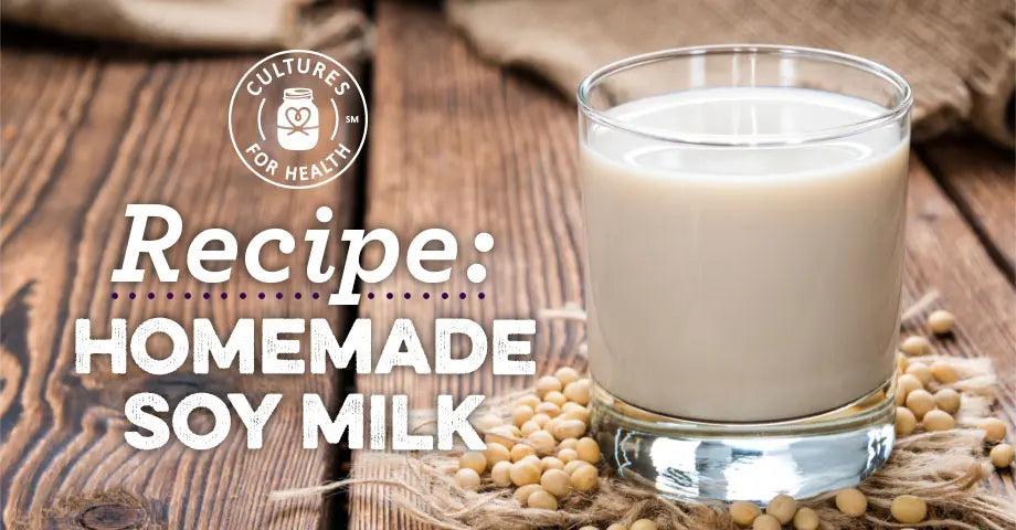 Homemade Soy Milk Guide: Make Milk, Tofu, and Zero-Waste Pulp Recipes